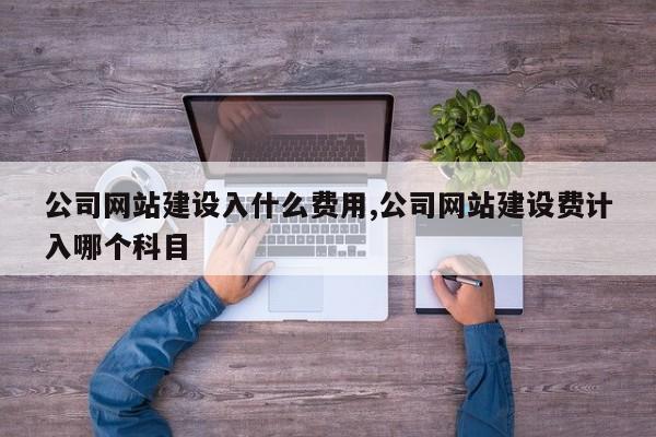 公司网站建设入什么费用,公司网站建设费计入哪个科目