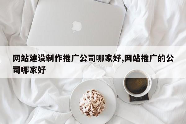 网站建设制作推广公司哪家好,网站推广的公司哪家好