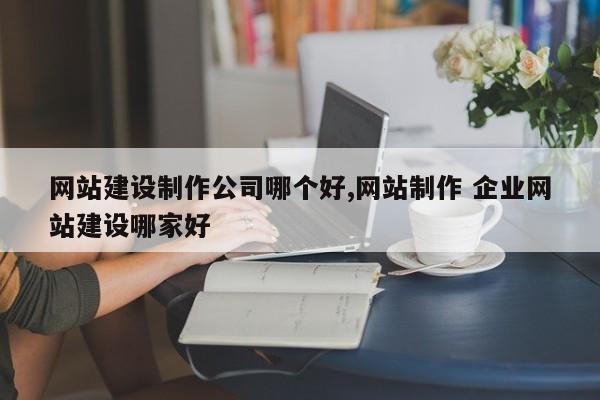 网站建设制作公司哪个好,网站制作 企业网站建设哪家好